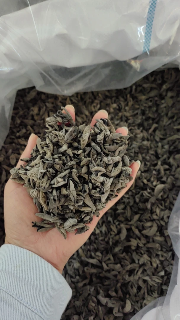 【参小牟推荐】木耳