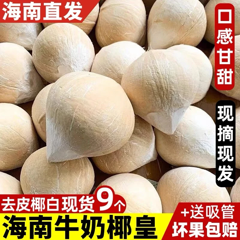 【9个/箱】海南直达新鲜奶椰皇去皮椰青果香浓椰子蛋天然孕妇水果
