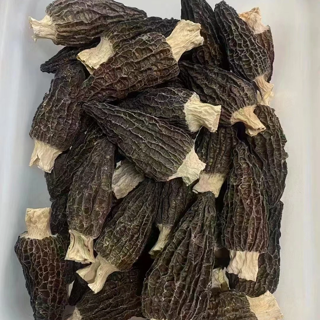 精选-农家羊肚菌