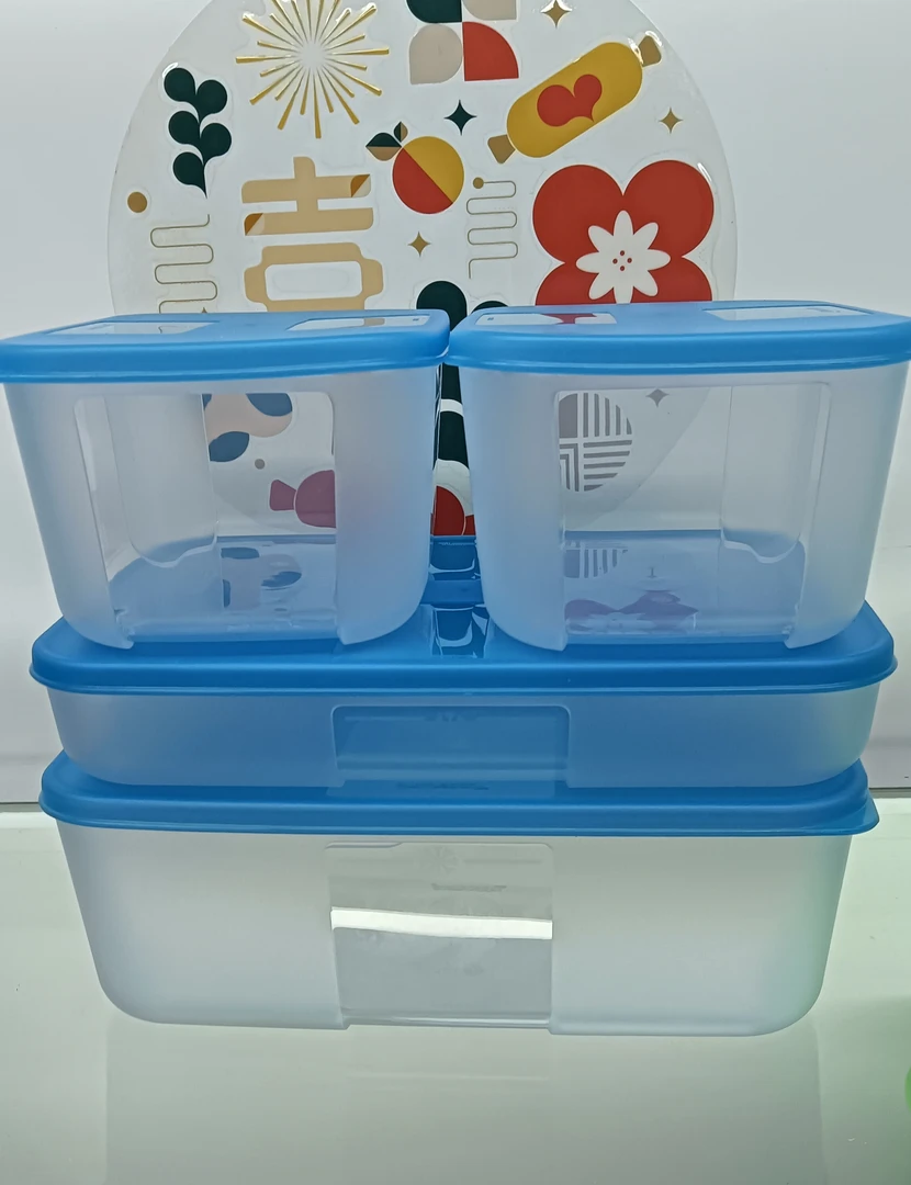 TBH冷冻保鲜盒!!
