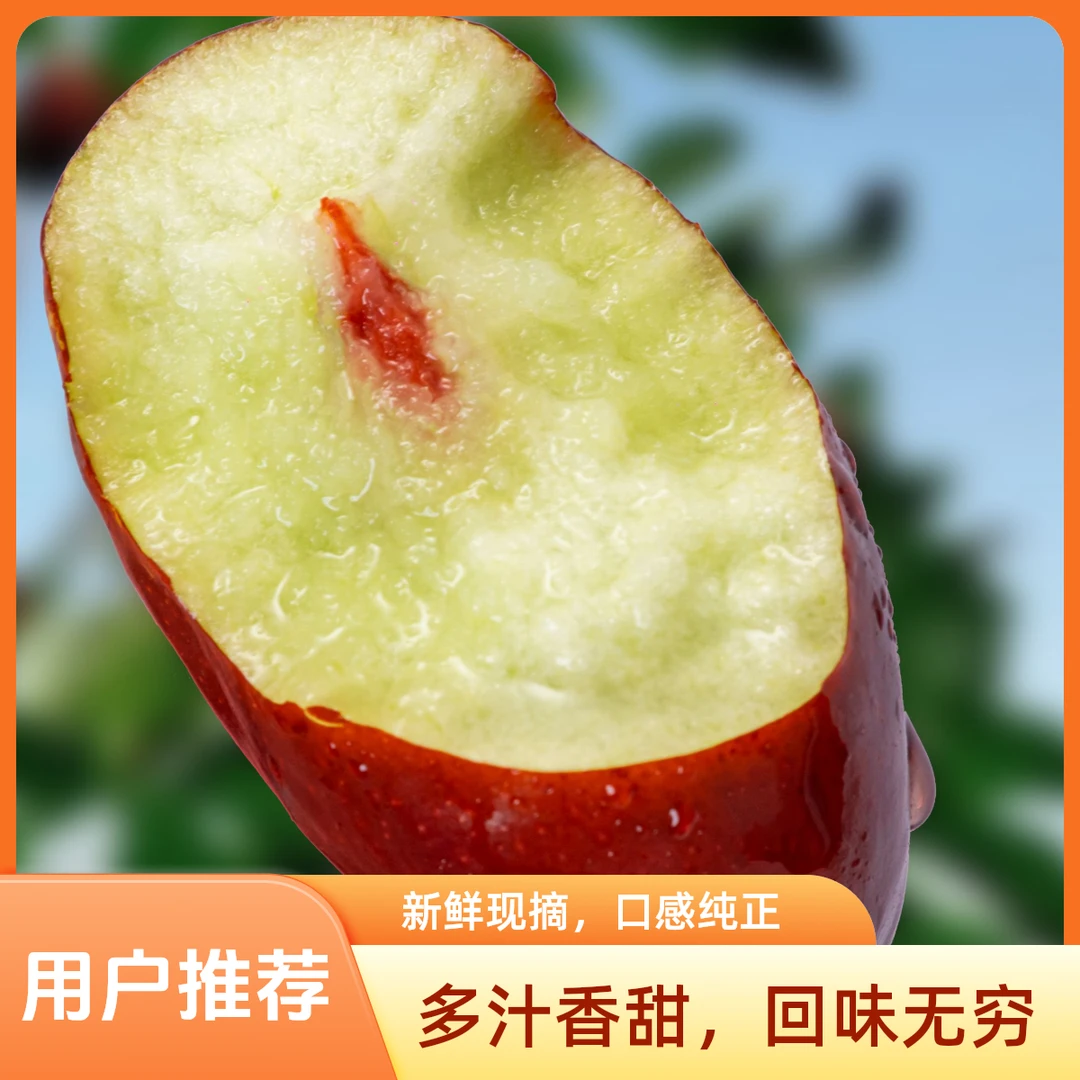 宁夏【灵武长枣5斤中大果】 新鲜天然甜美品质美味甜枣