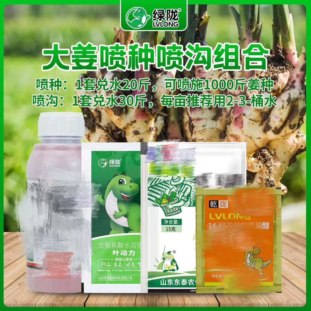 大姜促壮芽 护姜种喷沟组合沟底套餐