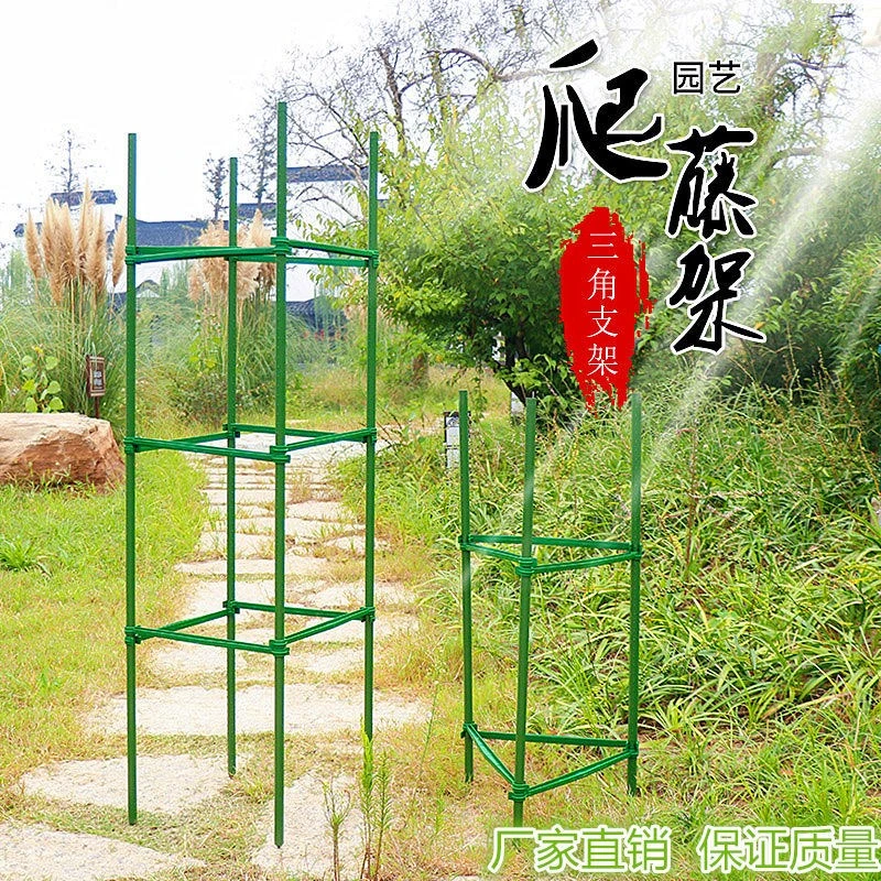 西瓜爬藤架藤蔓植物爬藤架子南瓜爬藤架苦瓜爬藤架青瓜架番茄架