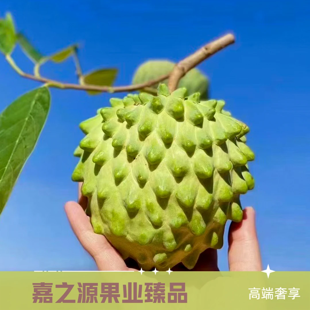新疆包邮云南牛奶凤梨释迦果当季节新鲜佛头番荔枝水果特大果臻选