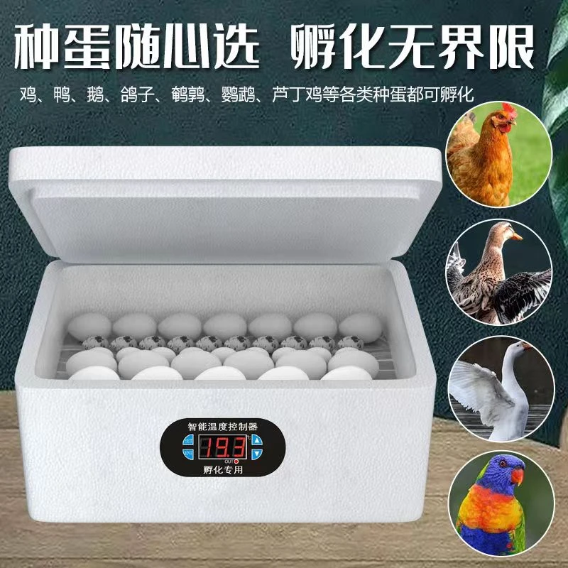 【大容量高出壳更实惠】高出壳智能水床孵化器家用养殖孵化机家用
