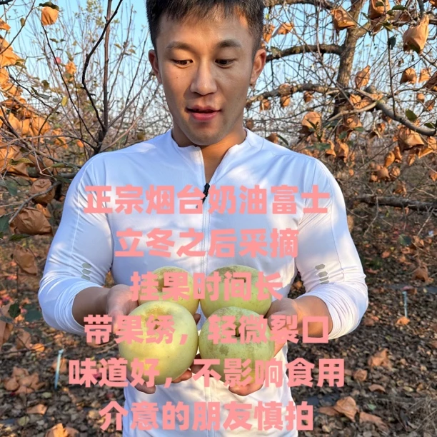 烟台奶油富士苹果，立冬后采摘，现摘现发