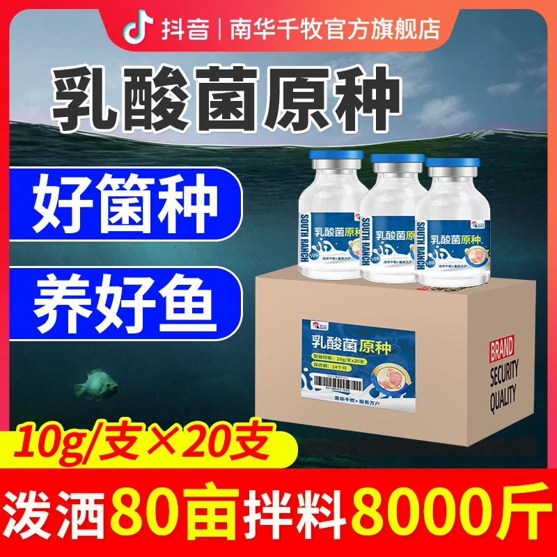 【南华精选】乳酸菌原种鱼塘 虾蟹塘调水净水肠道问题好菌种专用