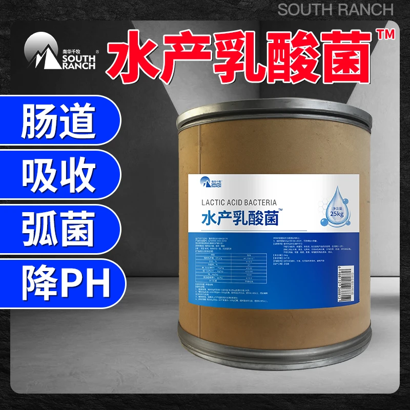 【南华精选】25kg桶高活水产乳酸菌种 乳杆菌