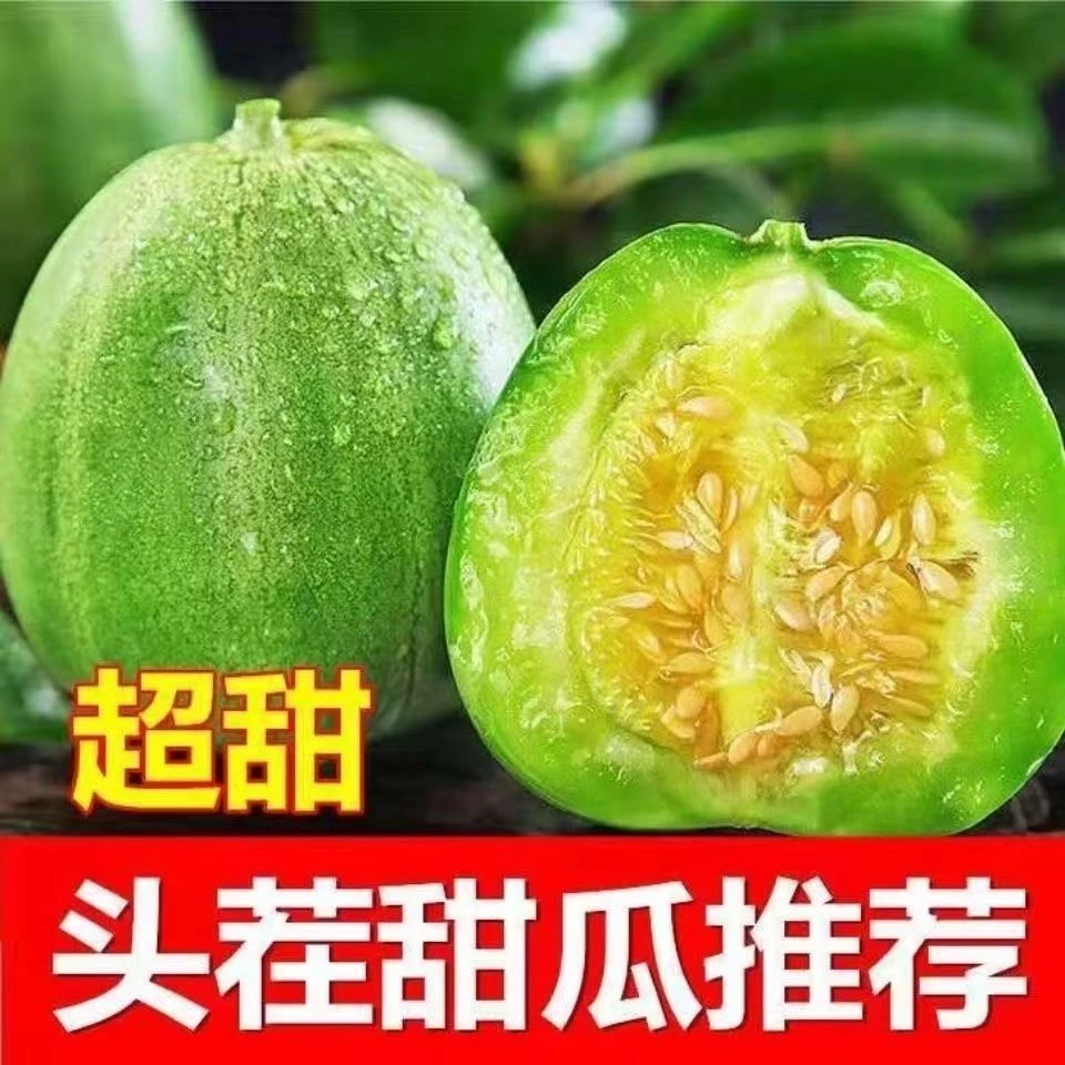 正宗东北头茬绿宝石甜瓜新鲜美味绿宝香瓜味道香甜可口坏果包赔