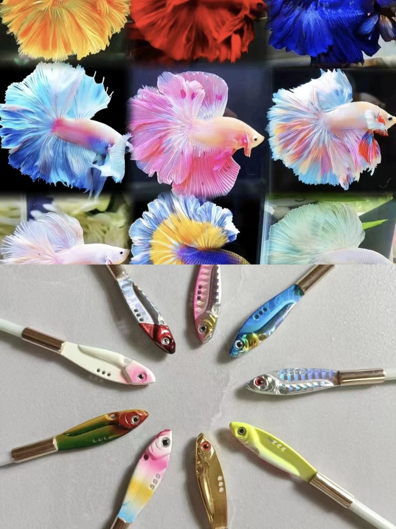 精品泰国斗鱼/泰国斗鱼逗鱼棒 ，随机发货