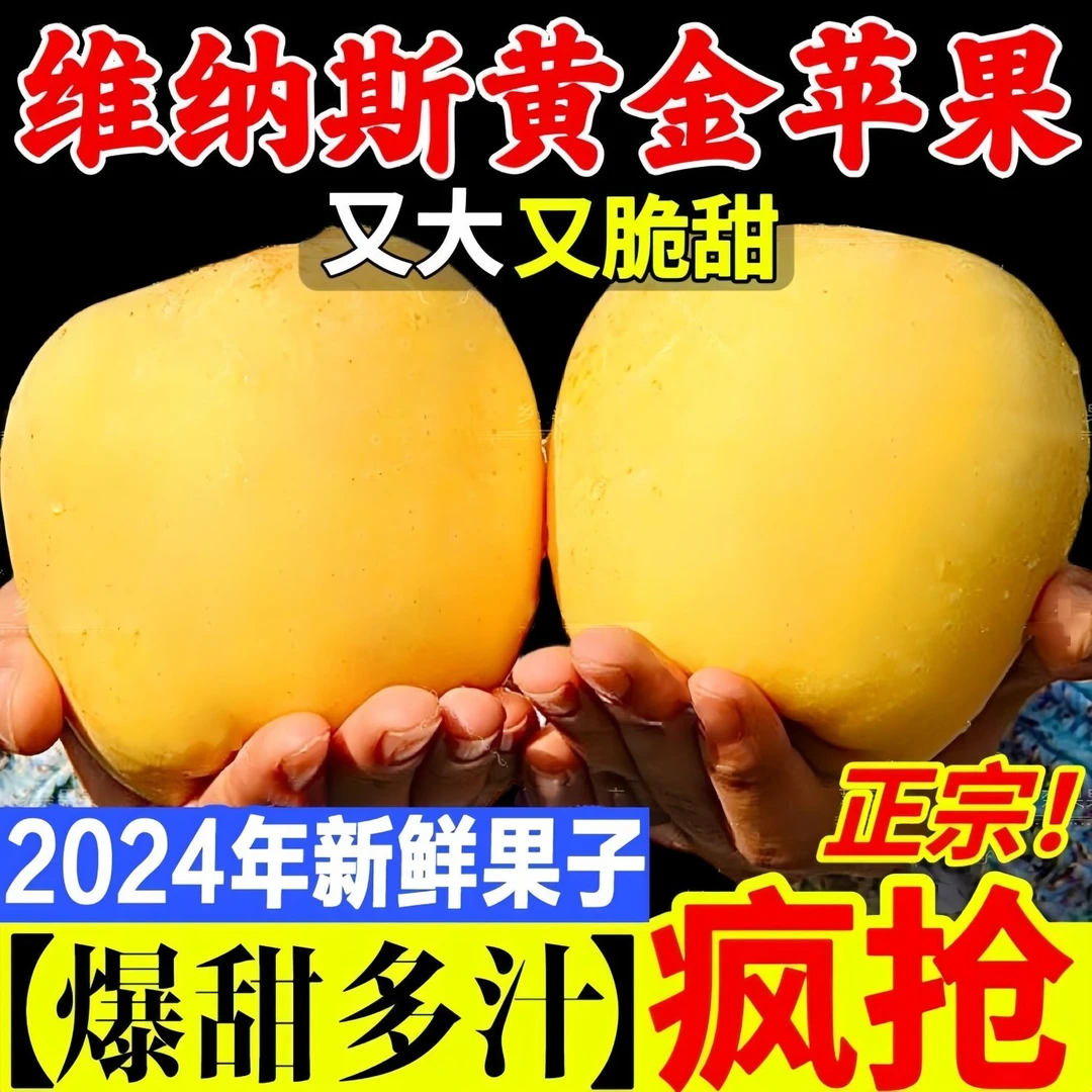 苹果中的贵族烟台栖霞黄金维纳斯苹果现摘现发口口爆汁脆甜可口