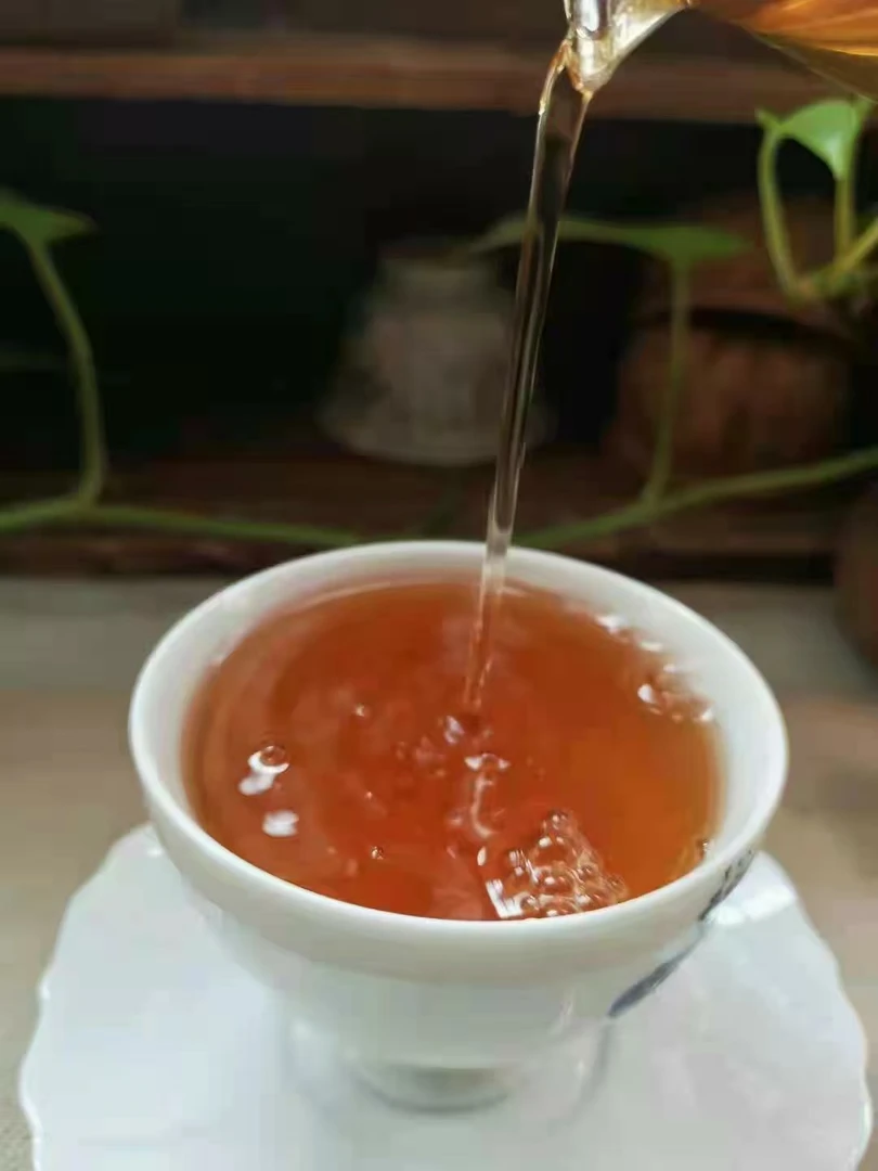 【2021年】忙肺古树