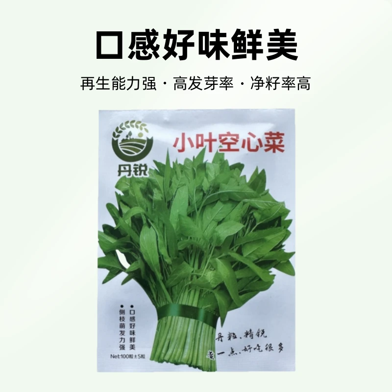 空心菜种子柳叶白梗空心菜小叶青菜种籽阳台盆栽大田四季蔬菜种孑