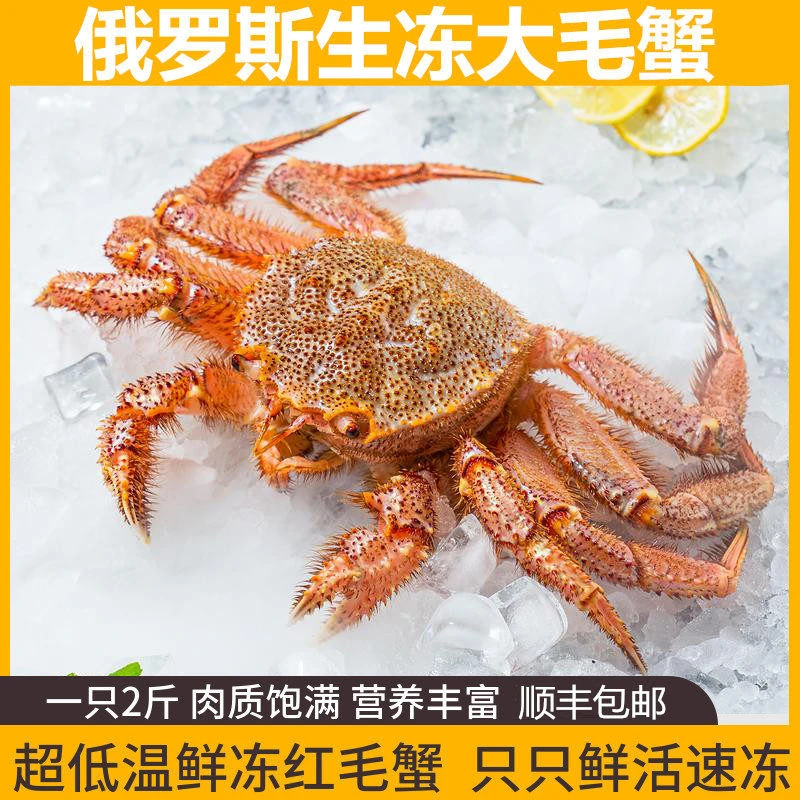 俄罗斯生冻大毛蟹 活冻红毛蟹帝王毛蟹鲜活冷冻海鲜水产特大螃蟹