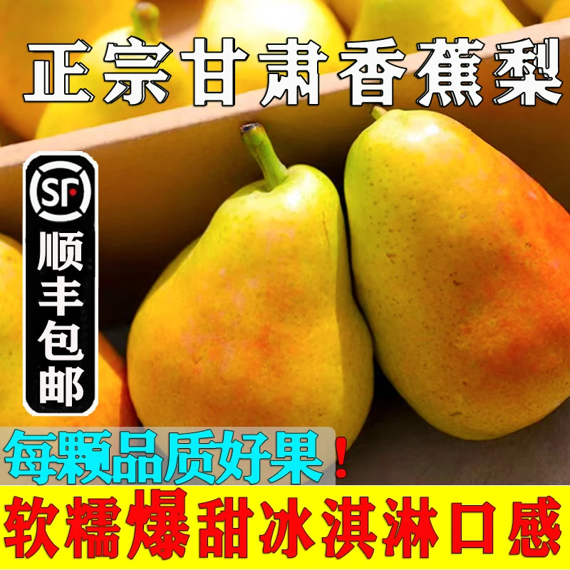 【郭爷专属】顺丰甘肃香蕉梨正宗太婆梨子彩啤梨水果新鲜啤梨大头梨