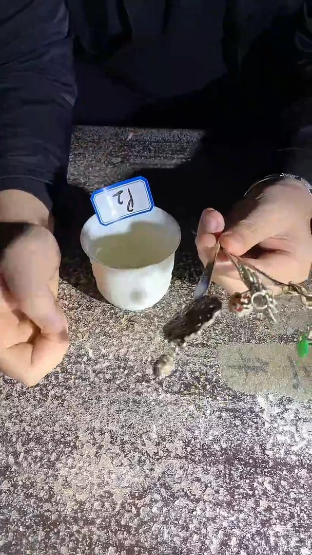 【闪购商品】陶瓷其他P2