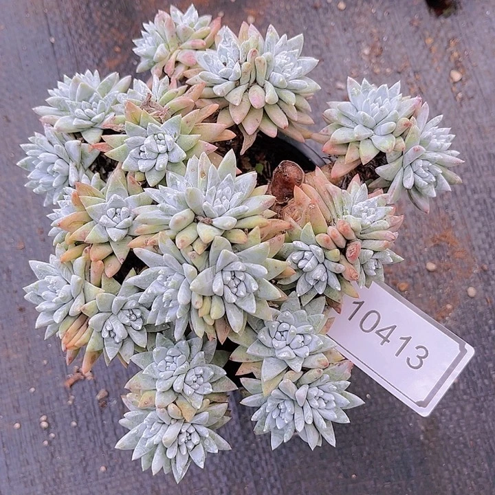 荣****厂特价不售后10413