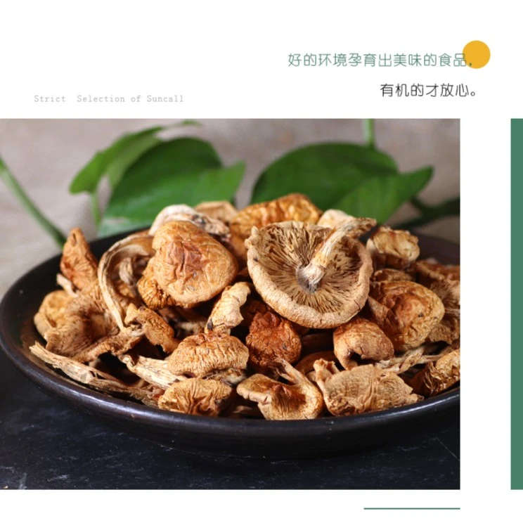 永富 大兴安岭有机黄蘑菇干货125g/袋