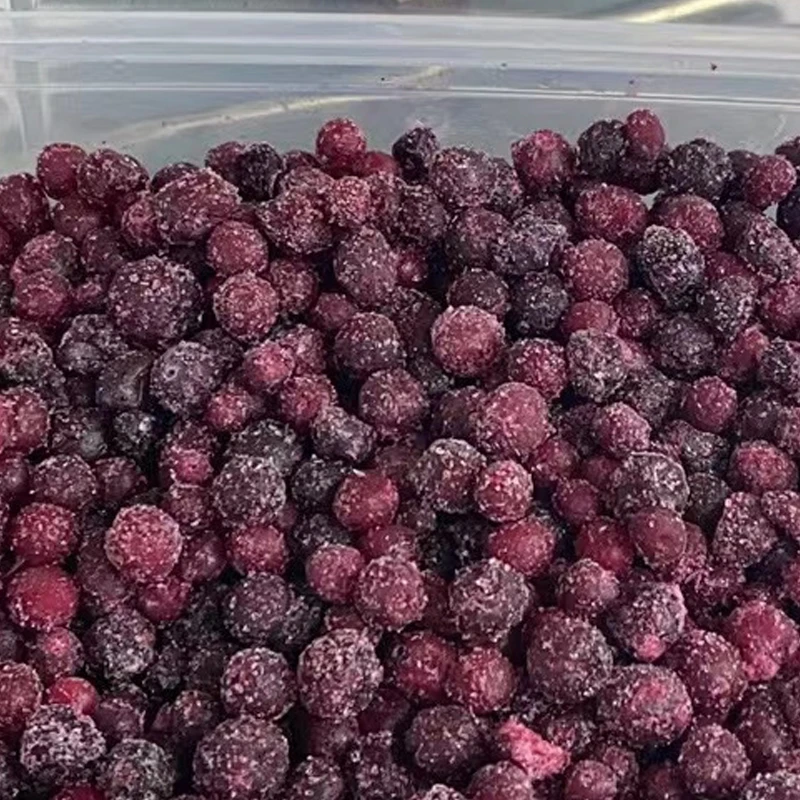 永富大兴安岭野生蓝莓果1kg