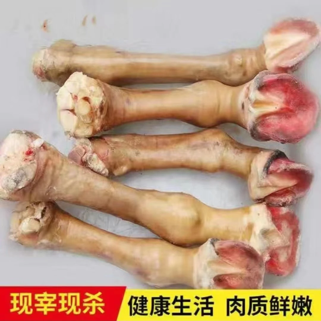 驴小腿带皮带筋带驴蹄现杀现发工厂直销驴身上的所有配件