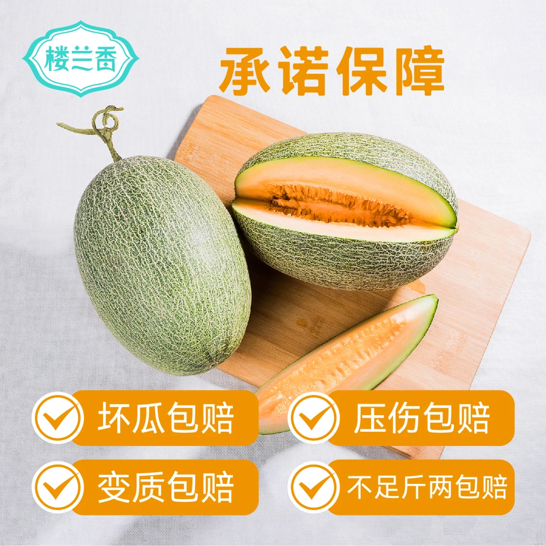 楼兰香【顺丰包邮】海南当季头茬精品25号高品质坏果包赔脆甜多汁