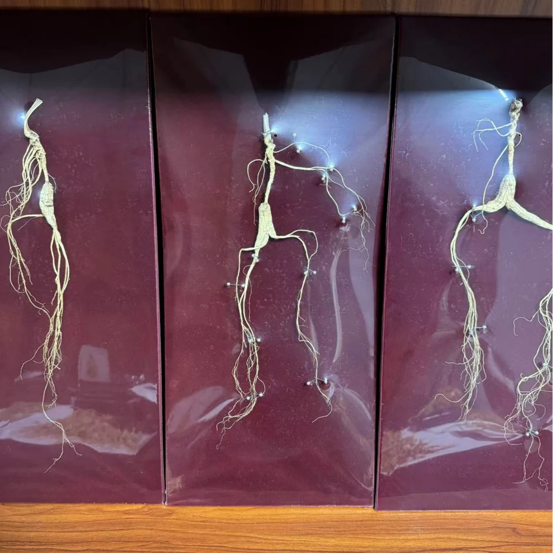 长白山60规格礼盒参皮盒装（直播间为准）