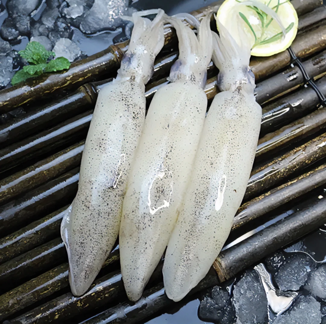 连云港 野生新鲜海兔（笔管鱼）4斤 速冻发货 顺丰京东冷链