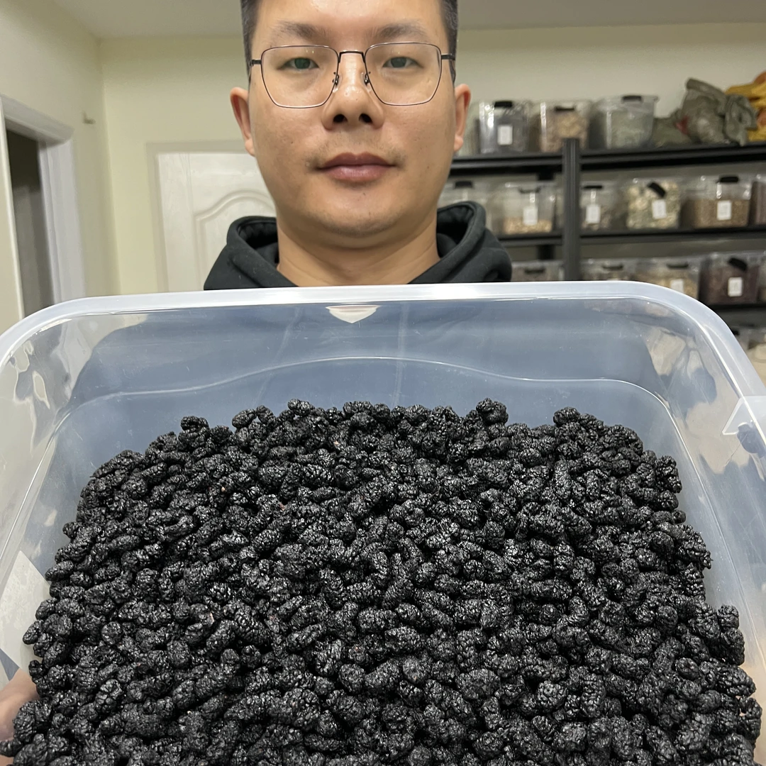 【本草李博士】无硫桑葚正宗四川桑葚子无泥沙桑葚茶泡酒道地桑葚