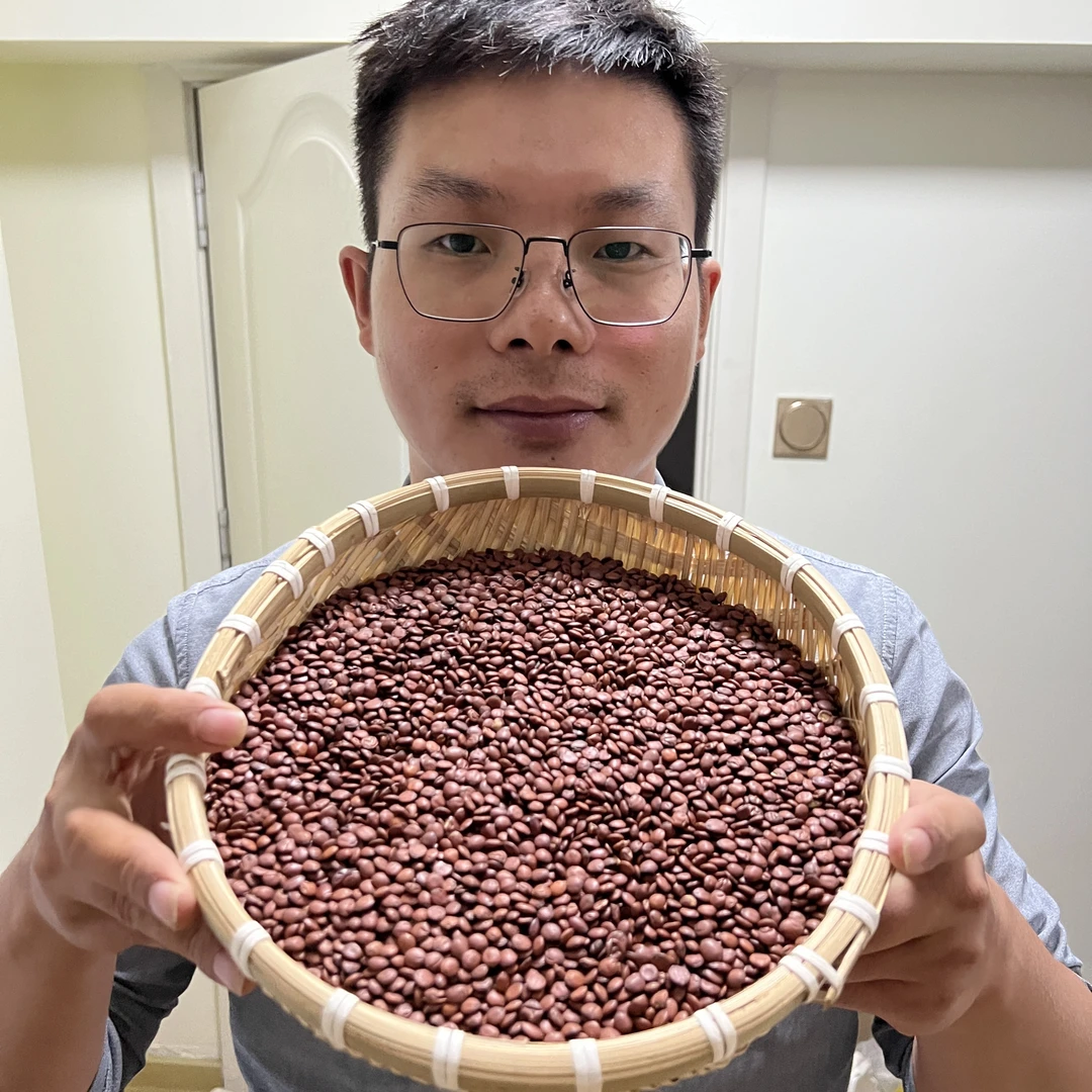 【本草李博士】正宗酸枣仁河北道地酸枣仁精选优质酸枣仁搭配枸杞