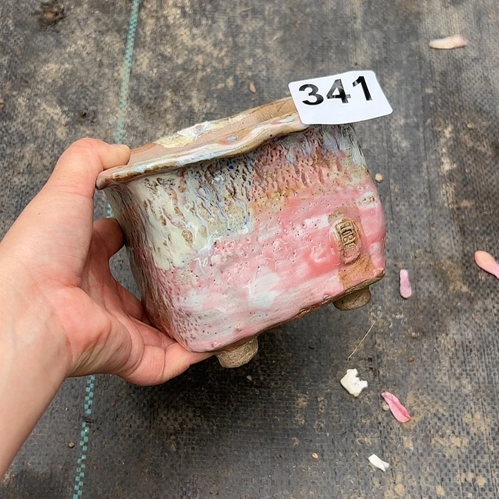 源*341多肉植物组合盆栽