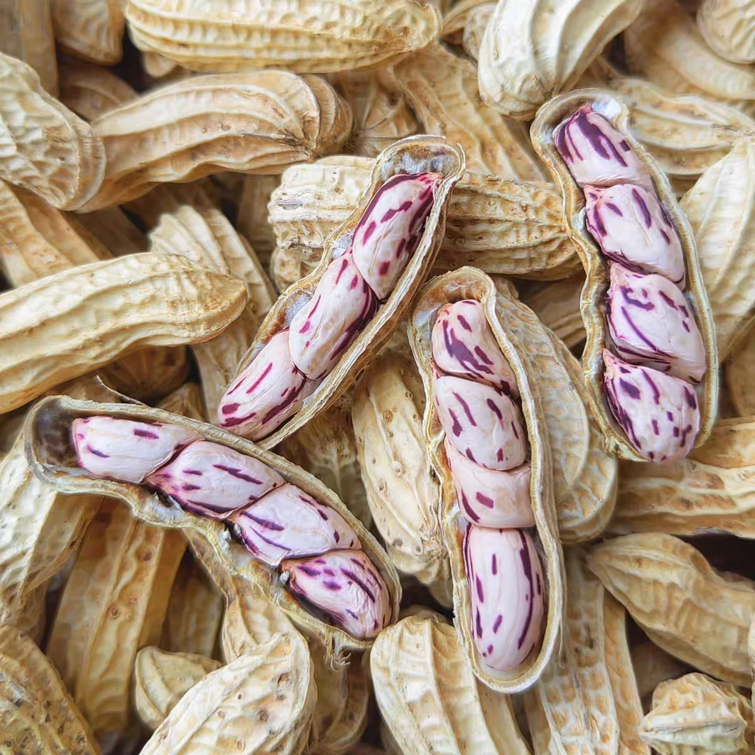 云南现收山货土特产七、彩、花、生菇500g