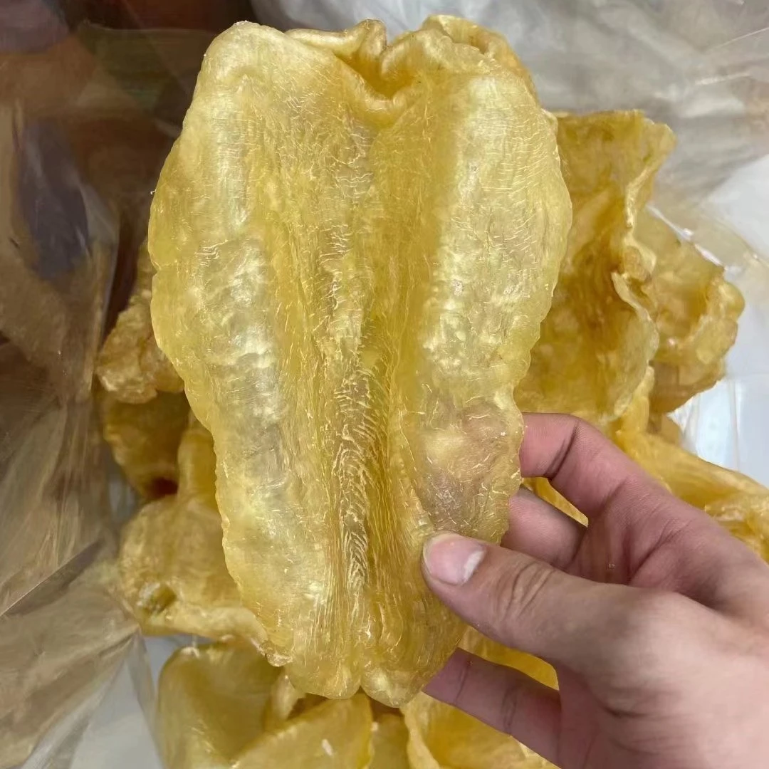 【蚝西施专线】斗湖片足干花胶鱼胶干货