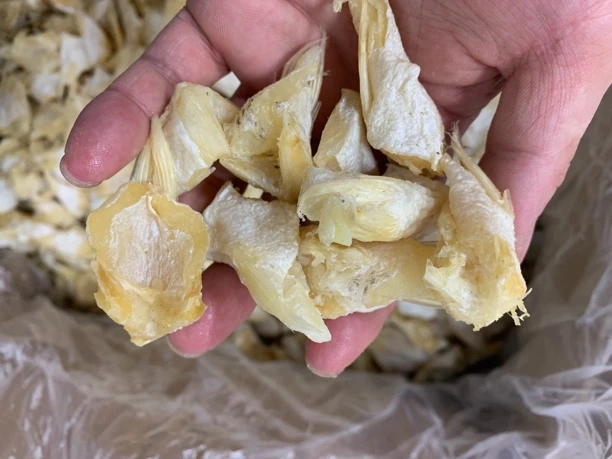 【蚝西施专线】汕尾本港鲈鱼下巴包邮