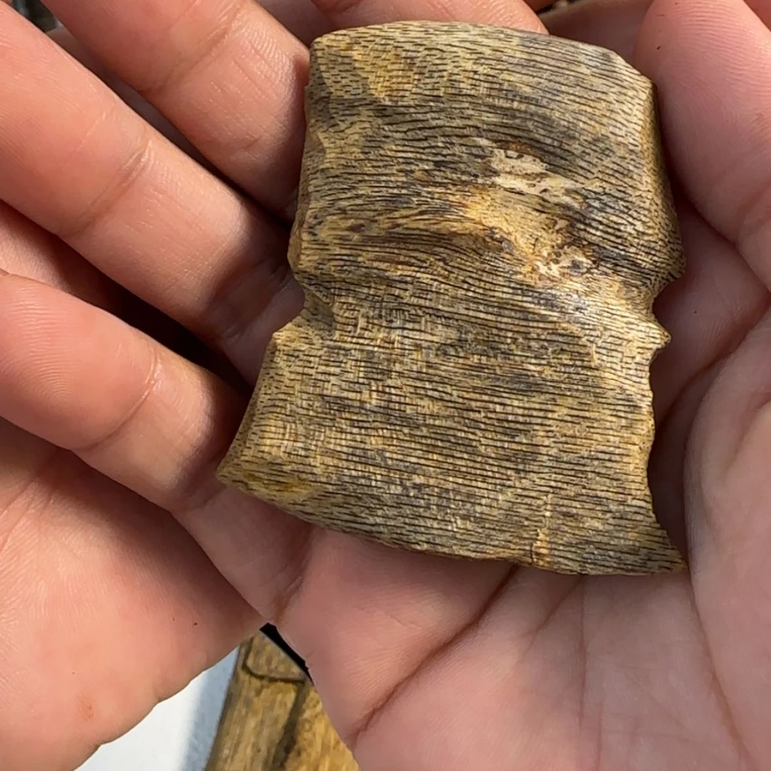 【闪购商品】上**水棋楠块料