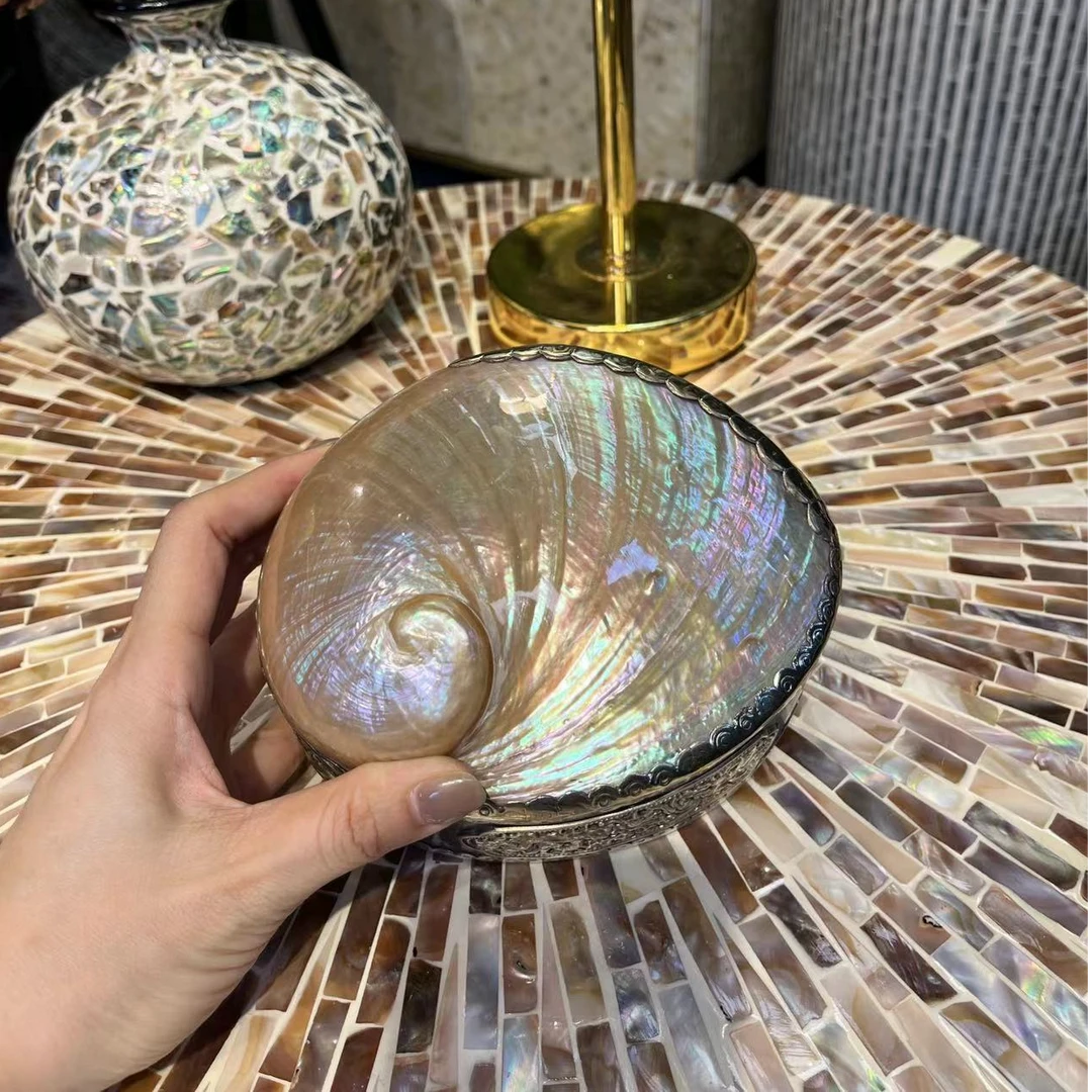 T白月光贝壳首饰收纳盒