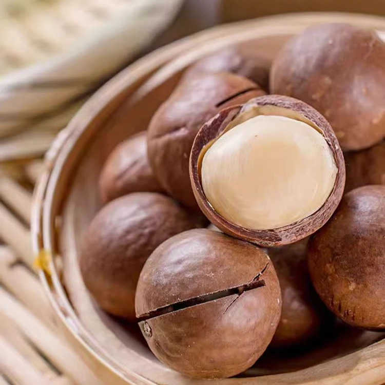 2024新货奶香味夏威夷果500g坚果零食送开口器20g年货营养大颗粒