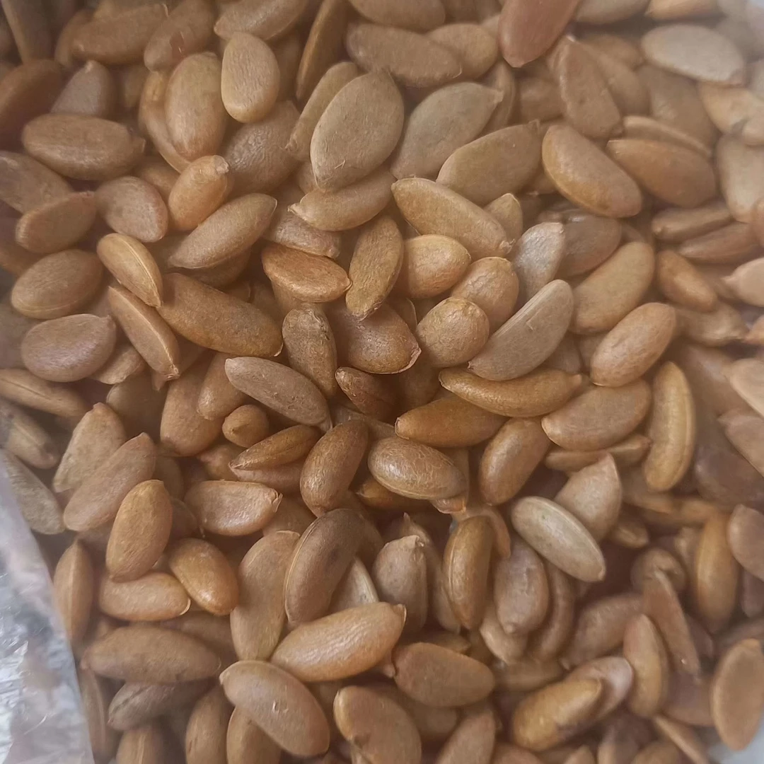 金弹子混合种盆景素材