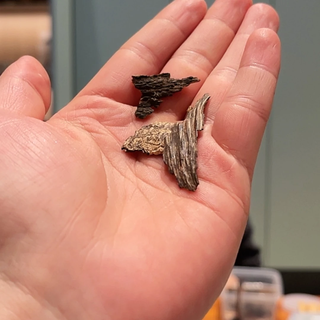 【闪购商品】沉香吊坠海南沉香原材0.8g