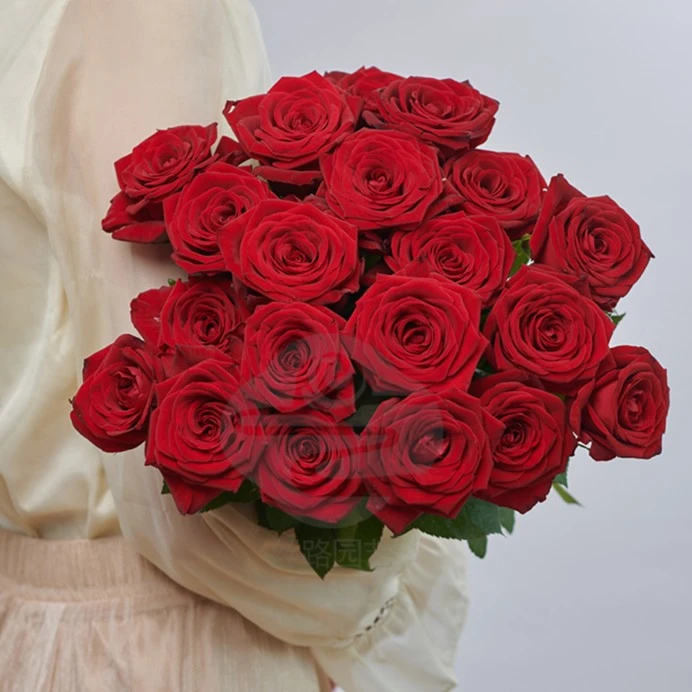 【丝路自产】娜欧米玫瑰西北批发1单顺丰包邮（看提示必拍保温棉）