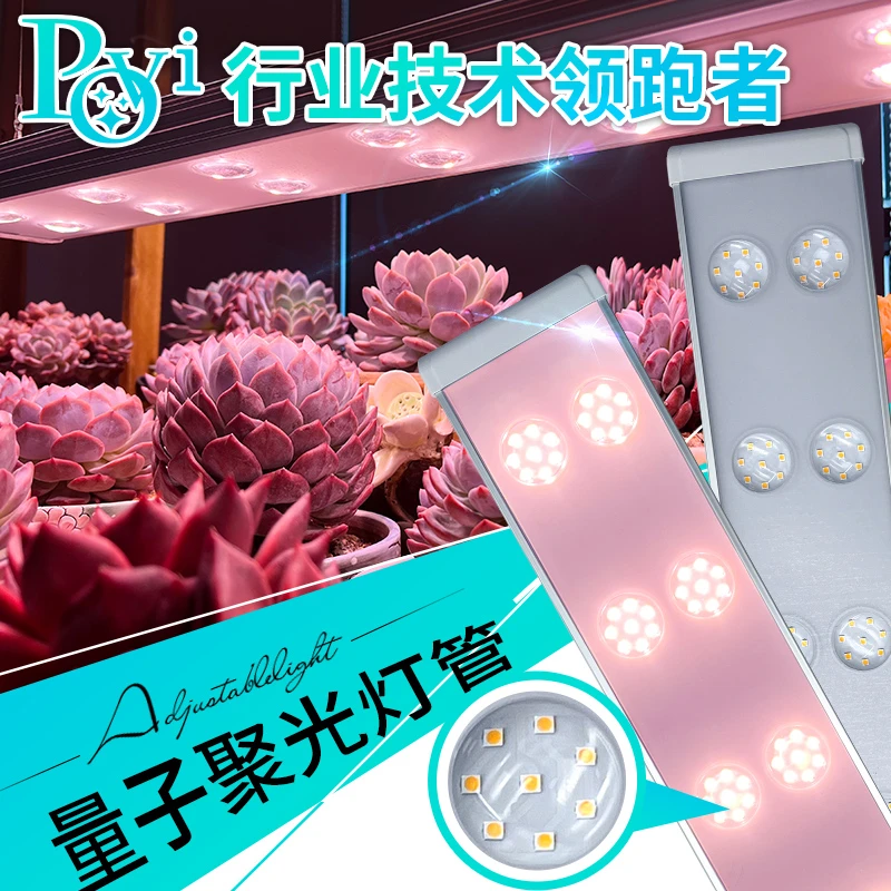 【小惜推荐】1珀誉多肉补光灯上色全光谱家用防徒仿太阳植物生长灯