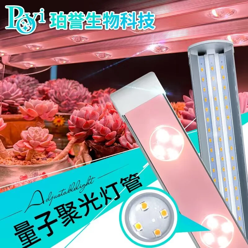 【思明 推荐1 珀誉多肉补光灯上色全光谱家用防徒仿太阳植物生长灯