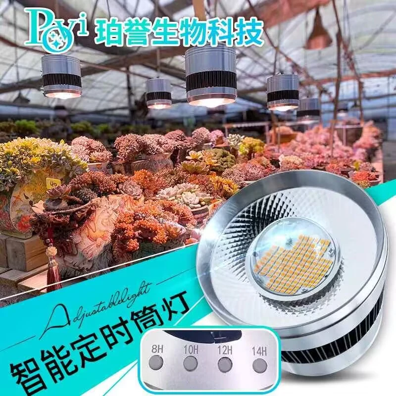 【武所谓推荐 】 珀誉多肉补光灯上色全光谱室内家用防徒植物生长灯