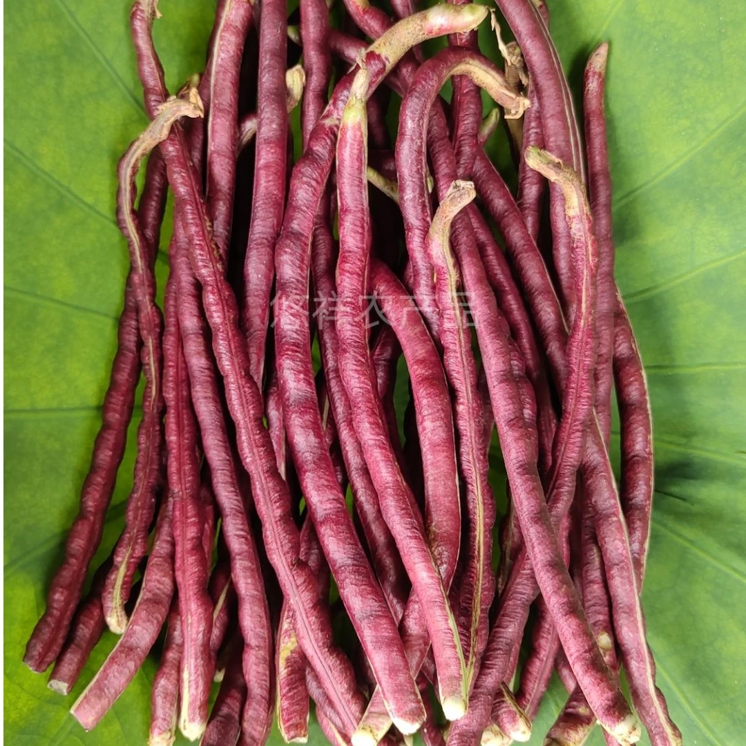 湖北老品种《九月红七寸豇豆》新鲜红豆角2-3斤装味道正超级好吃