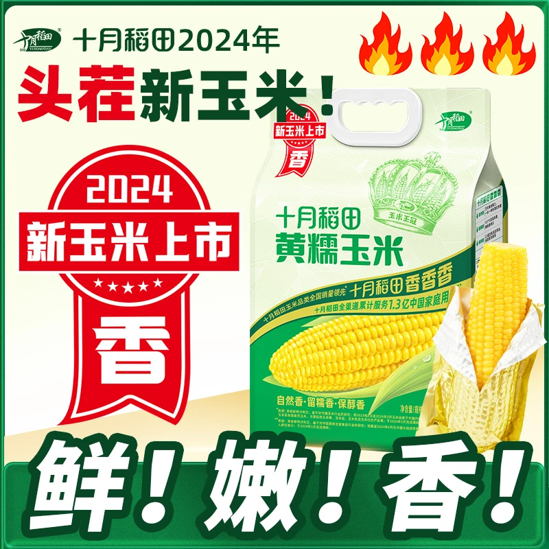 【24年头茬新玉米】十月稻田黄糯玉米棒玉米粒香甜糯东北黏苞米真空
