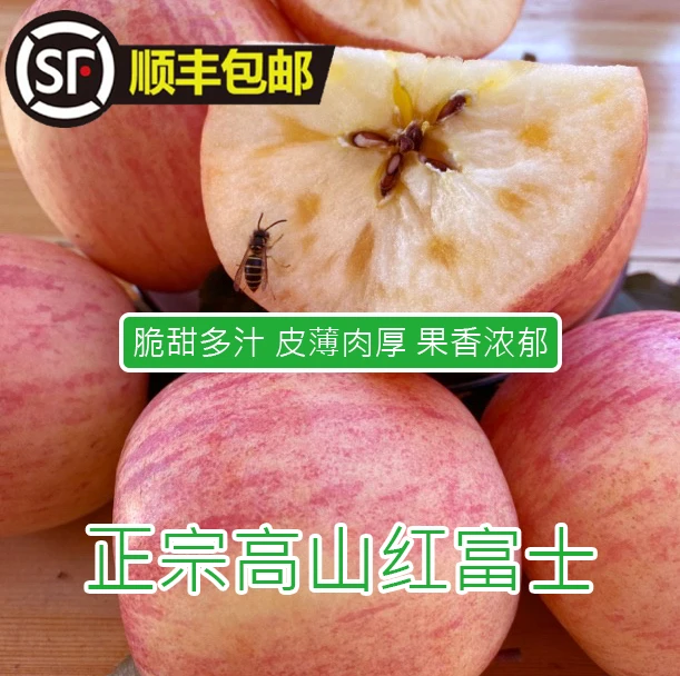 【顺丰包邮 坏果包赔】2024精品新鲜高原条纹红富士苹果 脆甜多汁