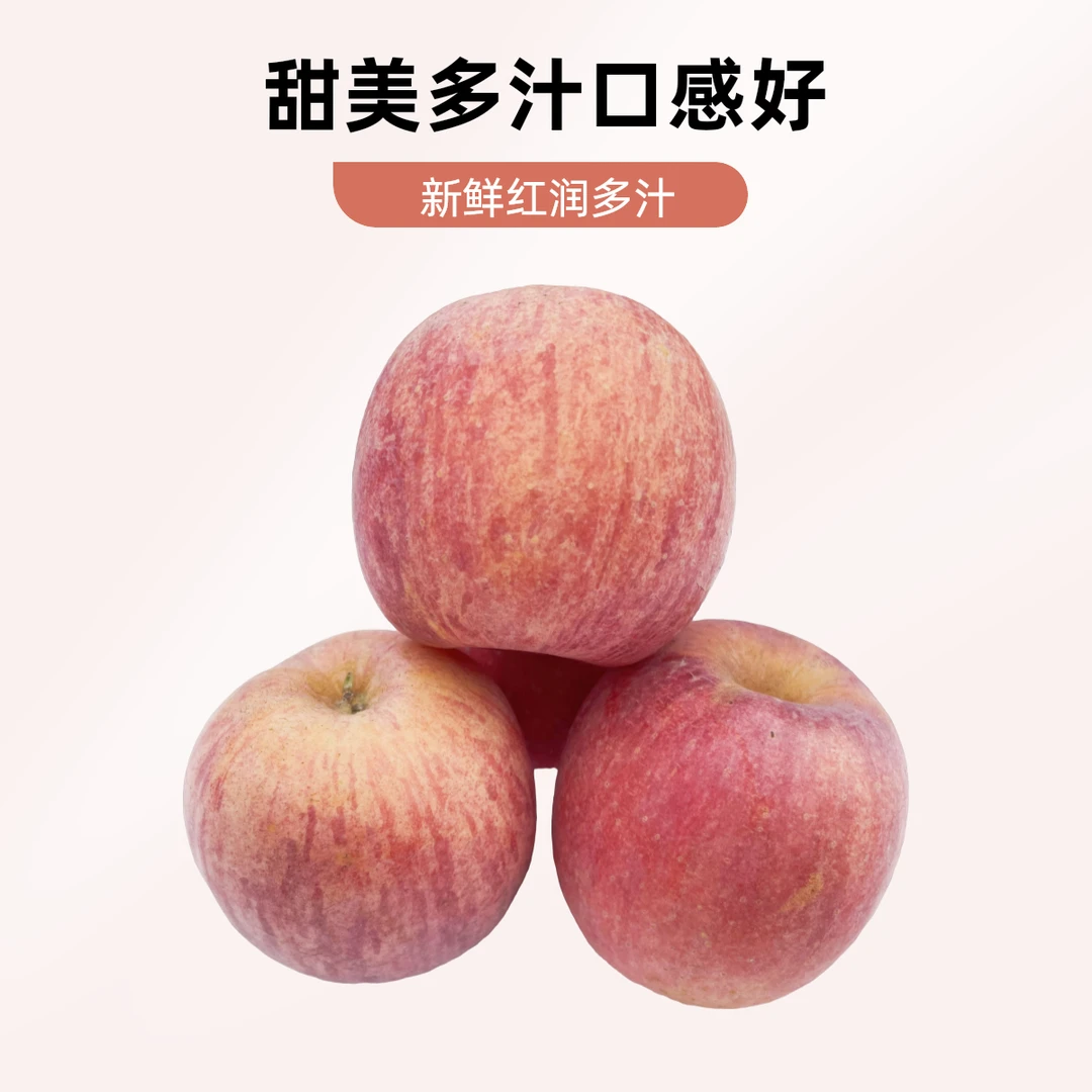 2024新果 红富士纸加膜苹果小果70mm条片混装 平陆苹果