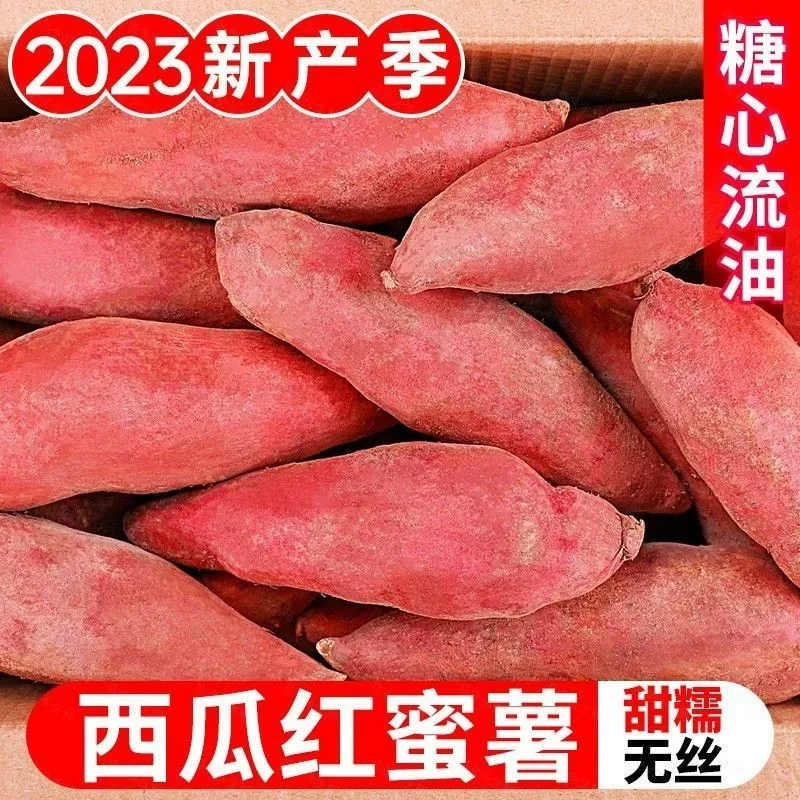 【粉丝浮力抢】超甜沙地红薯新鲜蜜薯1-9斤板栗薯地瓜番薯粗粮代餐
