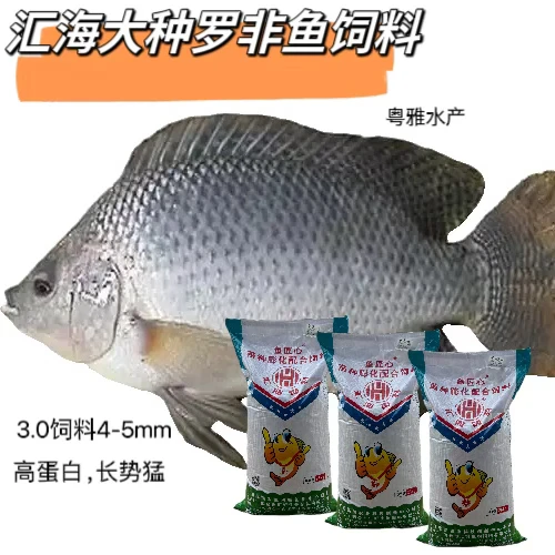 汇海罗非鱼专用高蛋白浮水颗粒饲料