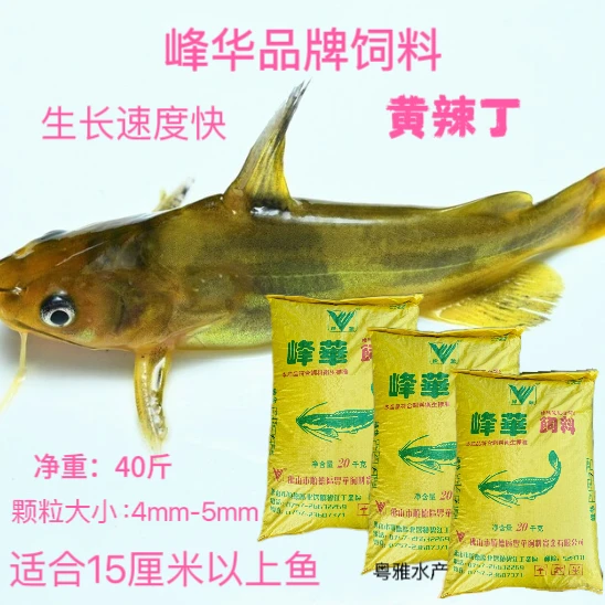 黄辣丁饲料黄骨鱼饵料大小鱼饲料高蛋白不浑水上浮颗粒养殖专用鱼