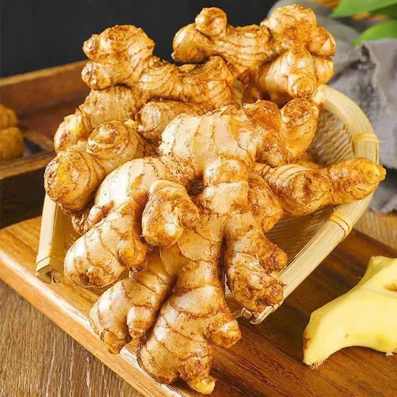 【今天买明天到】正宗云南高山小黄姜【助农专属】/肉质饱满/高品质现挖现发2斤/3斤/5斤装/新鲜发货/产地直供